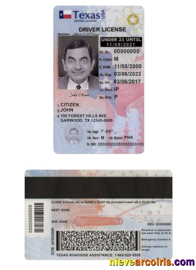 USA Texas driving license